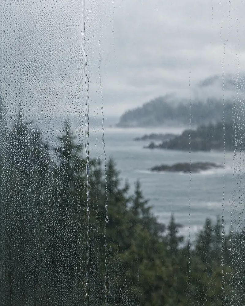 Rain and condensation running down a window, with a misty coastline and evergreens beyond.